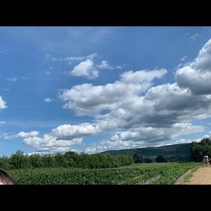 Meet your Posher, Mayra